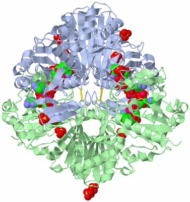 Image Biological Unit 1