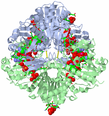 Image Biol. Unit 1 - sites