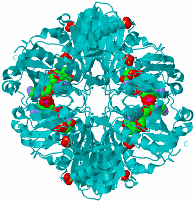 Image Biological Unit 2