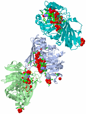 Image Asym. Unit - sites