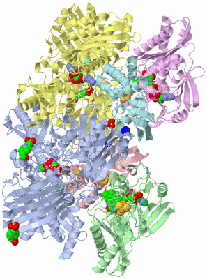 Image Asym./Biol. Unit