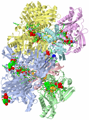 Image Asym./Biol. Unit - sites