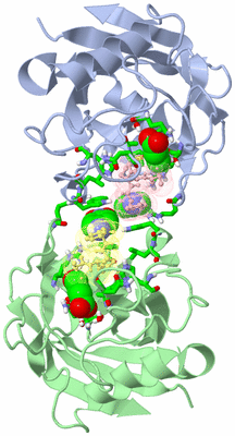 Image Asym./Biol. Unit - sites