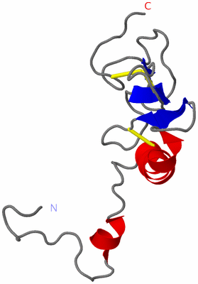 Image NMR Structure - model 1