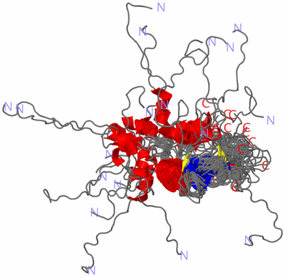 Image NMR Structure - all models