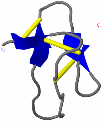 Image NMR Structure - model 1