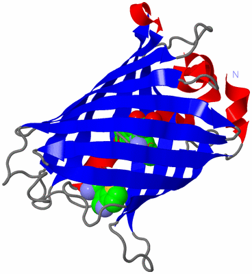 Image Asym./Biol. Unit