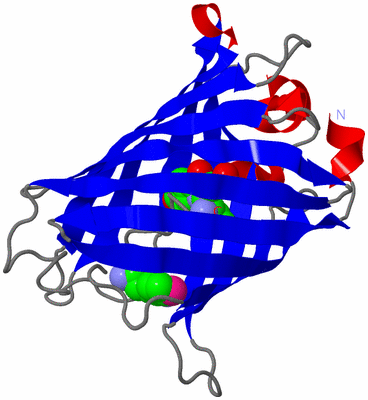 Image Asym./Biol. Unit