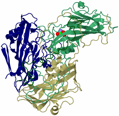 Image Asymmetric Unit