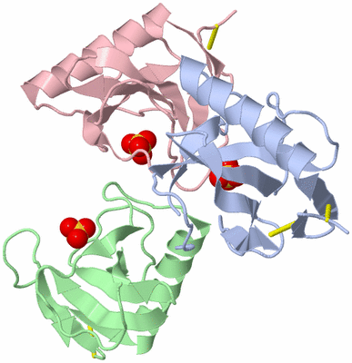 Image Asymmetric Unit