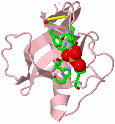 Image Biol. Unit 1 - sites