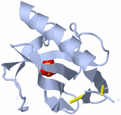 Image Biological Unit 2