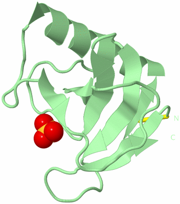 Image Biological Unit 3