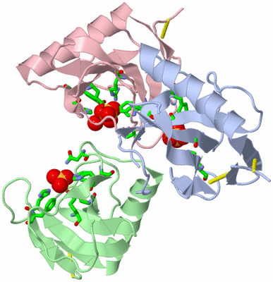 Image Asym. Unit - sites