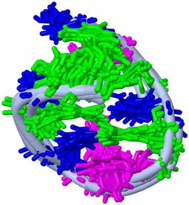 Image NMR Structure - all models