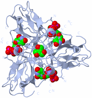 Image Biological Unit 1