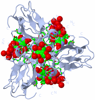 Image Biol. Unit 1 - sites