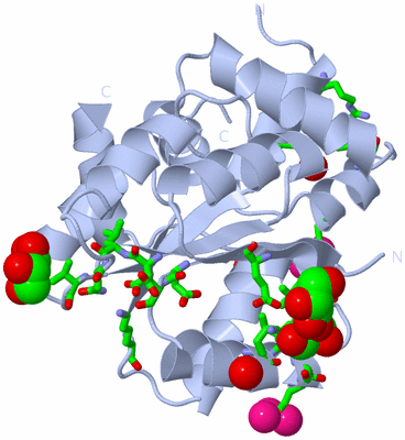 Image Biol. Unit 1 - sites