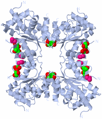 Image Biological Unit 2