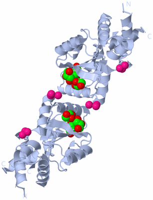 Image Biological Unit 3