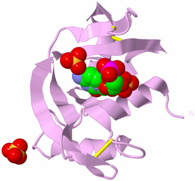 Image Biological Unit 1