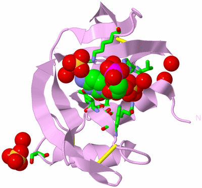 Image Biol. Unit 1 - sites