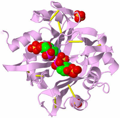 Image Biological Unit 2