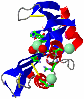 Image Asym./Biol. Unit - sites