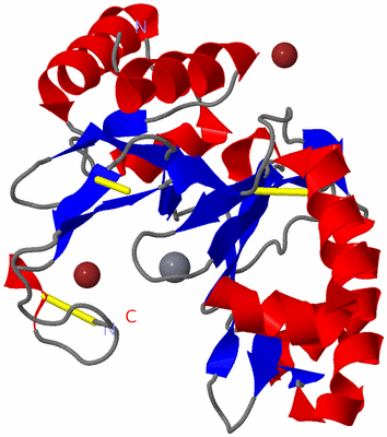 Image Asym./Biol. Unit