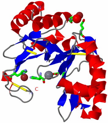 Image Asym./Biol. Unit - sites