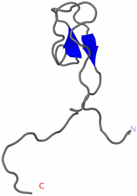 Image NMR Structure - model 1