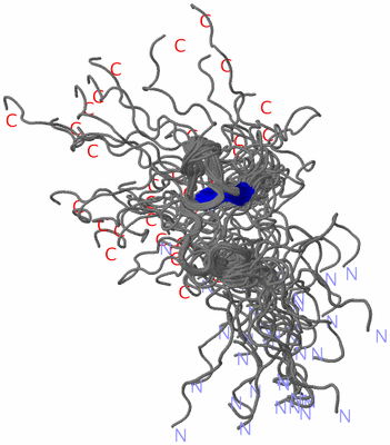 Image NMR Structure - all models