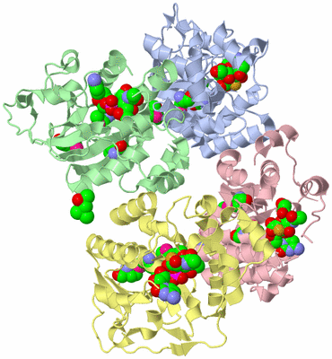 Image Asym./Biol. Unit