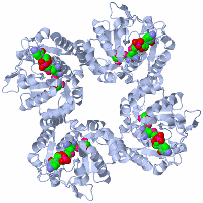 Image Biological Unit 1