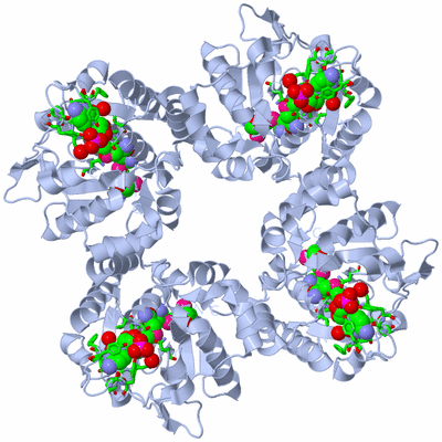 Image Biol. Unit 1 - sites