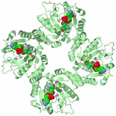 Image Biological Unit 2