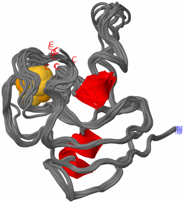 Image NMR Structure - all models