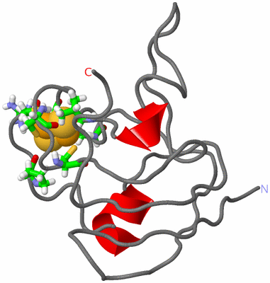Image NMR Structure - model 1, sites