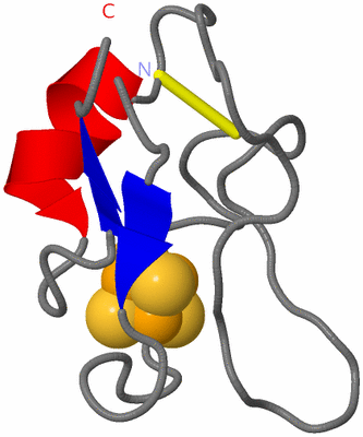 Image NMR Structure - model 1