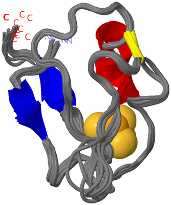 Image NMR Structure - all models