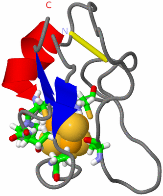 Image NMR Structure - model 1, sites