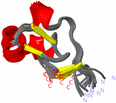 Image NMR Structure - all models