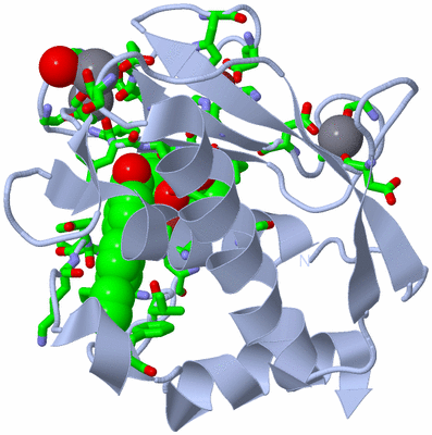 Image Biol. Unit 1 - sites