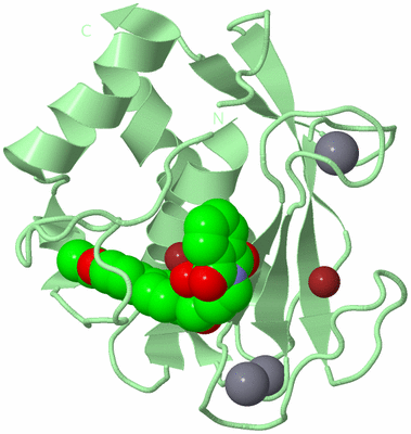 Image Biological Unit 2