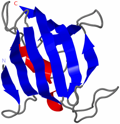Image NMR Structure - all models