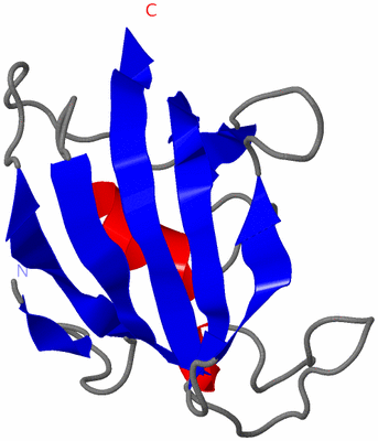 Image NMR Structure - model 1