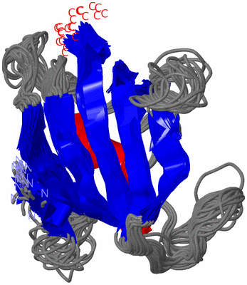 Image NMR Structure - all models