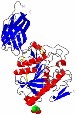 Image Asym./Biol. Unit