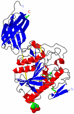 Image Asym./Biol. Unit - sites