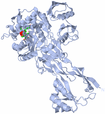 Image Biol. Unit 1 - sites